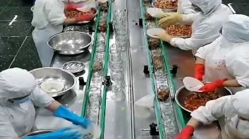 罐頭水果 健康與否，解碼食品廠的“魔法”加工過程
