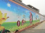 青島專業(yè)慶典禮儀策劃服務公司 一站式專業(yè)服務，點亮城市精彩